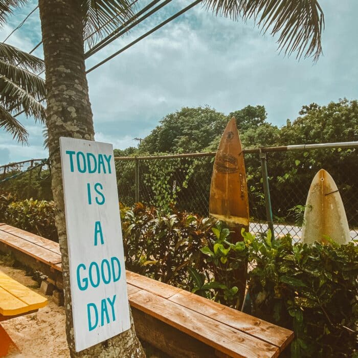 Sunny day in Waialua, Hawaii with palm trees and surfboards creating a vibrant tropical vibe.