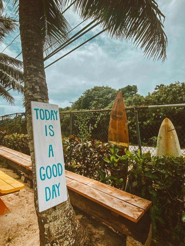 Sunny day in Waialua, Hawaii with palm trees and surfboards creating a vibrant tropical vibe.